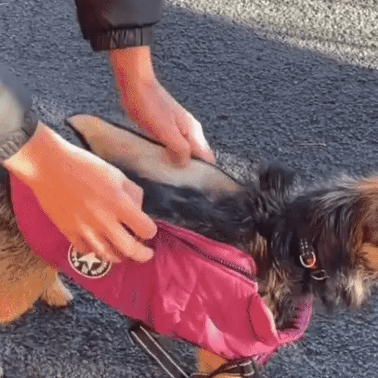 PuddleGuard - Wasserdichte Hundejacke