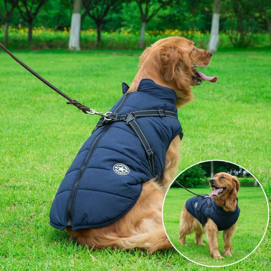 PuddleGuard - Wasserdichte Hundejacke